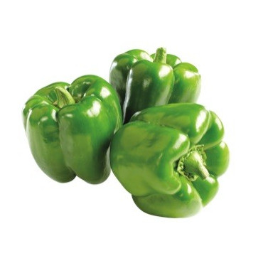 Poivron vert - 1KG