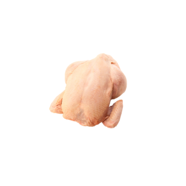 Poulet local 1,2 à 1,6 kg